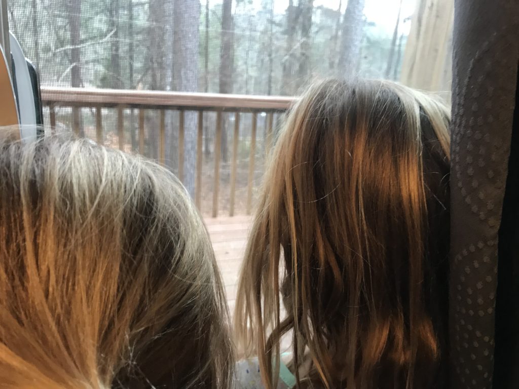 snow flowing in alabama