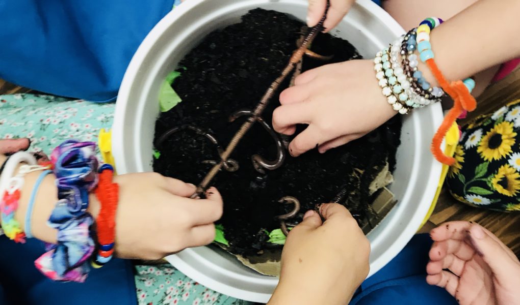 How to Backyard Compost