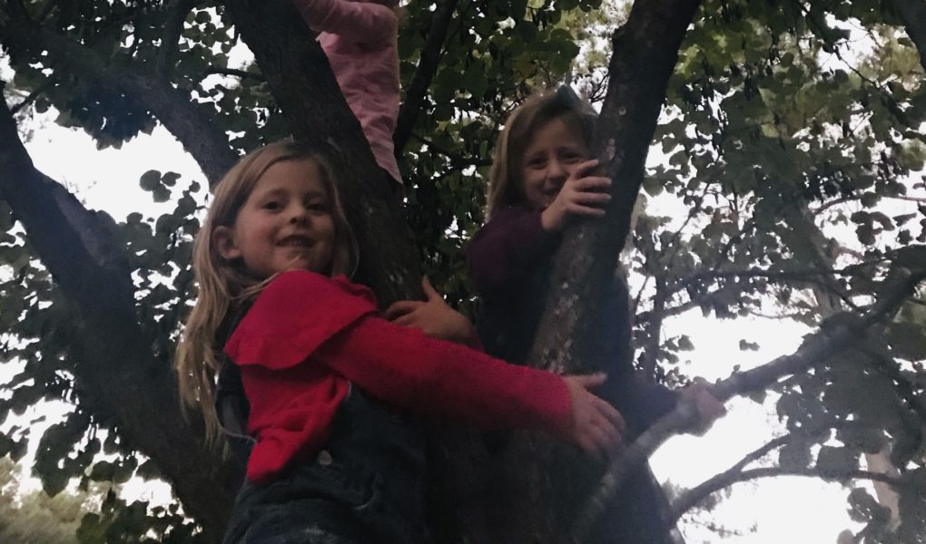 Neighborhood Kids