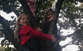 Neighborhood Kids