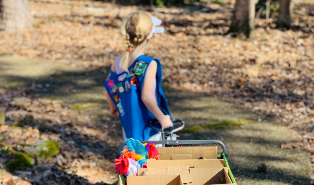 Buy Girl Scout Cookies