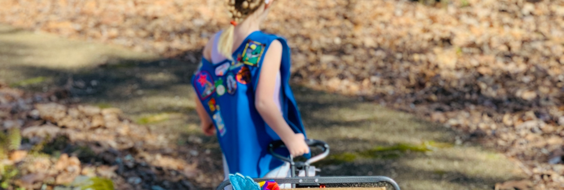Buy Girl Scout Cookies