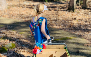 Buy Girl Scout Cookies